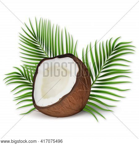 3d Realistic Vector Set Of Coconut, Coconut Halves And Palm Leaves