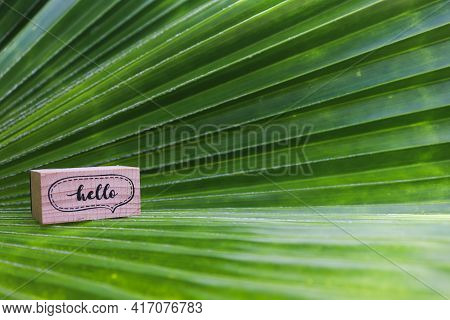 Palm Tree Leaf And Wooden Cube With Word 'hello' On It.