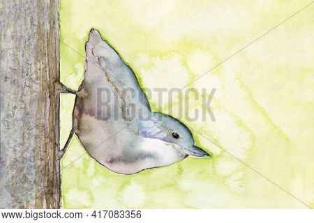A watercolor illustration of a small bird at the bark of a tree