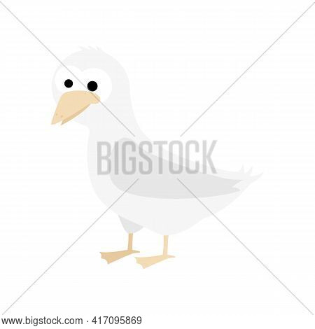 Seagull In Cartoon Style. Flat Isolated 2d Vector