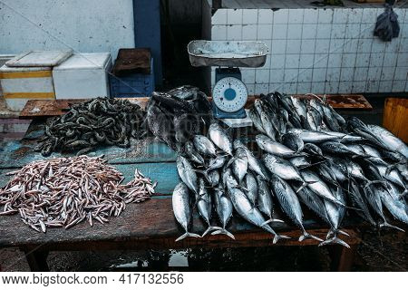 Sea Fish Market In Asia. Street Market In Sri Lanka. Fresh Fish Sales In India. Freshly Caught Fish.
