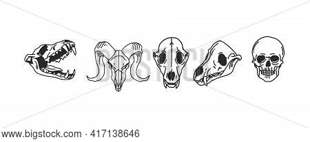 Hand Drawn Vector Abstract Stock Flat Graphic Illustrations Collection Set With Logo Element Of Magi