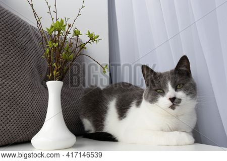 Chilling Cat On Sill And Vase With Small Spring Bouquet.