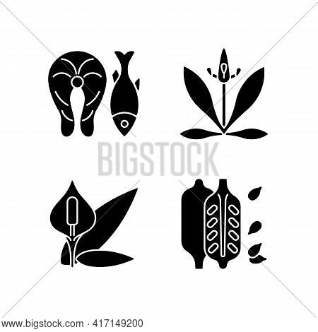 Common Allergens Black Glyph Icons Set On White Space. Fish As Cause For Allergy. English Plantain. 