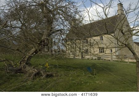 Woolsthorpe Manor og æbletræet