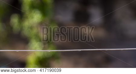 Water Drops After Rain On The Wire With Blurred Background
