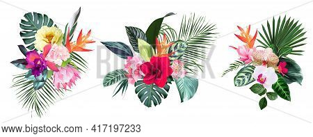 Exotic Tropical Flowers, Orchid, Strelitzia, Hibiscus, Protea, Anthurium, Palm