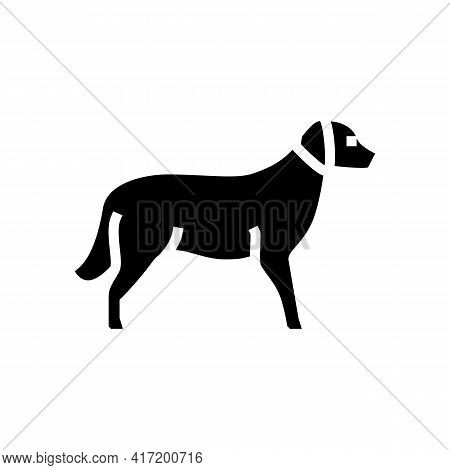 Golden Retriever Dog Line Icon Vector. Golden Retriever Dog Sign. Isolated Contour Symbol Black Illu