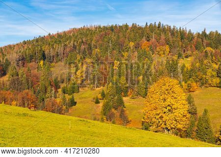 autumn landscape near saddle Beskyd in Slovakia