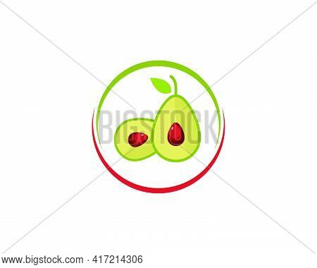 Avocado Icon Illustration Vector