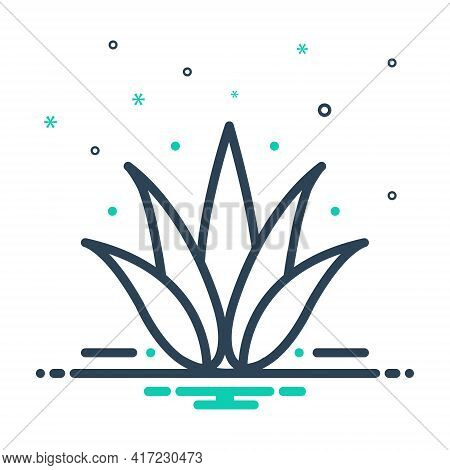Mix Icon For Agave Plant Alovera Nature Cactus Herbal