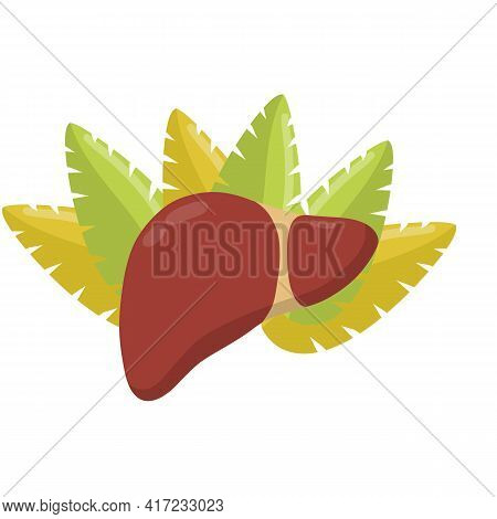 Healthy Liver. Red Internal Human Organ. Medicine And Analysis. Cartoon Flat Illustration. Green Lea