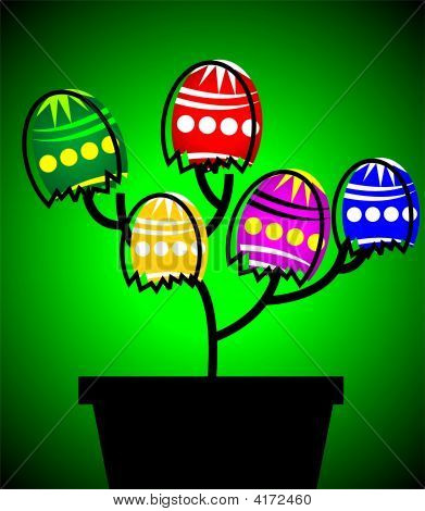 Pasqua