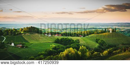 Austria Vineyards Sulztal Leibnitz Area South Styria