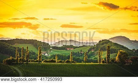 Austria Vineyards Sulztal Leibnitz Area South Styria