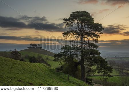 Beautiful Vibrant Sunrise Landscape Image Of Colmer's Hill In Dorset On A Spring Morning