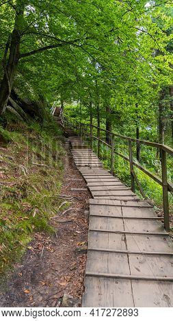 Outdoor Wooden Road On Uphill In Green Forest Vertical
