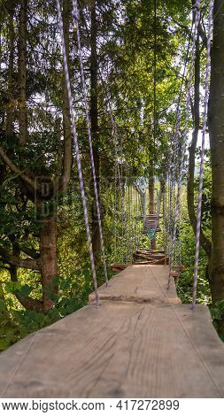 High Ropes Experience Adventure Tree Park. Rope Road Course In Trees. Wood Bridge And High Wire Acti