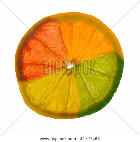 Citrus Medley