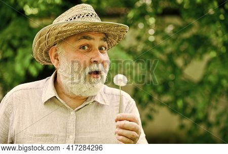 Harmony Of Soul. Peaceful Grandpa Blowing Dandelion. Happy And Carefree Retirement. Mental Health. P