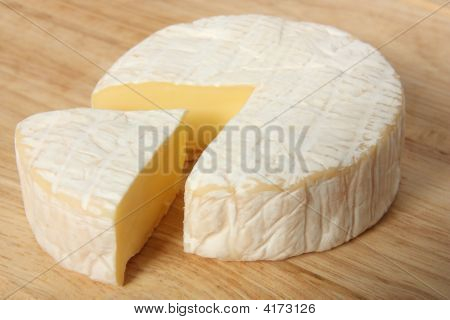 Bloomy-Rinded Cheese
