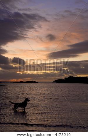 Pôr do sol