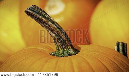 Pumpkin With Glowing Eyes And A Skull On Wooden Background. Sinister Halloween.