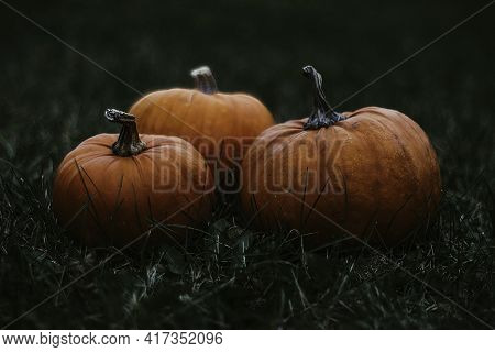 Pumpkin With Glowing Eyes And A Skull On Wooden Background. Sinister Halloween.