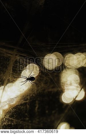 Pumpkin With Glowing Eyes And A Skull On Wooden Background. Sinister Halloween.