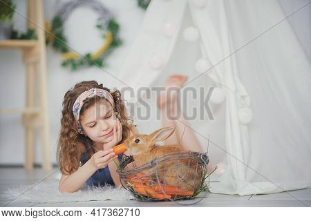 Little Cute Girl Feeds Carrots Fluffy Pet Rabbit, Care And Livin