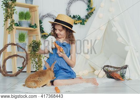 Little Cute Girl Feeds Carrots Fluffy Pet Rabbit, Care And Livin