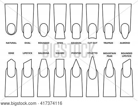 Shape Nail Vector Illustration On White Background. Isolated Outline Set Icon Fingernail. Vector Out