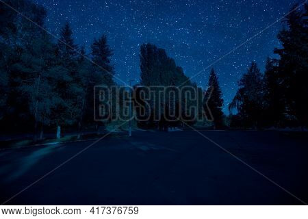 Mystical Landscape Of Full Moon Rising Over Tall Green Meadow With Trees At Forest; Skyline Silhouet