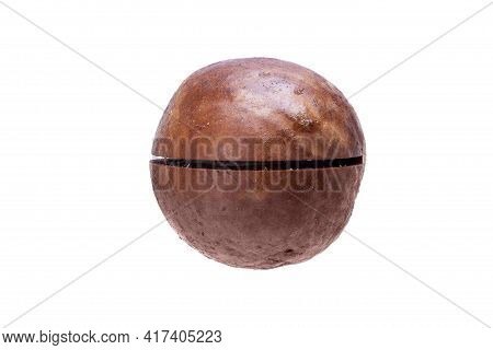 Macadamia In Shell Round Nut With Saw Cut Protein Healthy Food Close-up Isolated On White Background