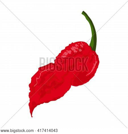 Bhut Jolokia Hot Pepper. Vector Stock Illustration On Isolated White Background.