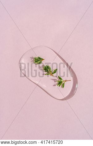 A Drop Of Cosmetic Gel With Thyme On A Pink Background.