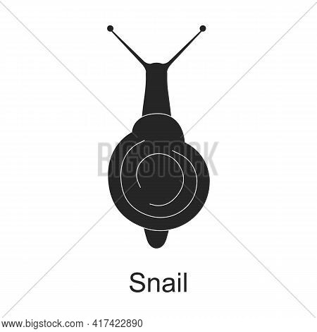 Snail Vector Black Icon. Vector Illustration Pest Insect Snail On White Background. Isolated Black I