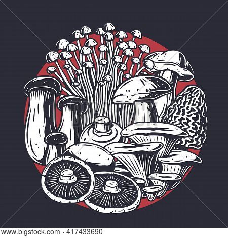 Mushroom Picking Of Morel. Vegetarian Fungus Boletus Or Cremini Collection For Food. Organic Nature 