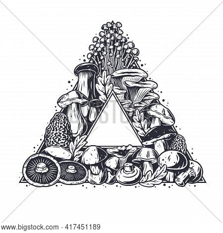Mushroom Picking Of Morel. Vegetarian Fungus Boletus Or Cremini Collection For Food. Organic Nature 