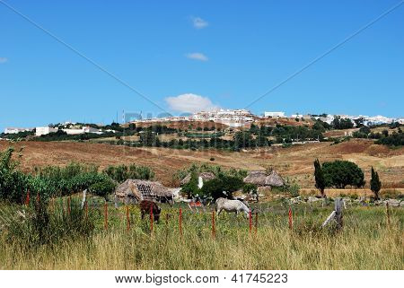Małe gospodarstwa, Medina Sidonia, Andaluzja, Południowa Hiszpania.