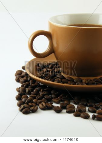 Kafa