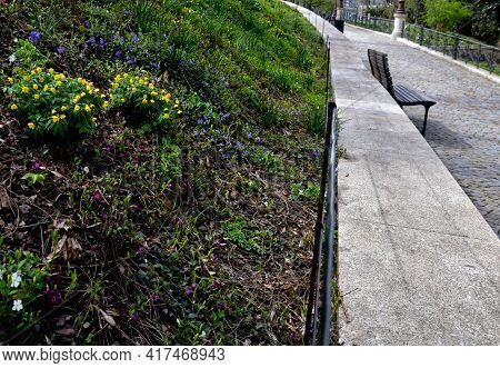 Bench By The Retaining Wall In The Park Of Black Bushes Early Spring Perennials, On A High Flowerbed
