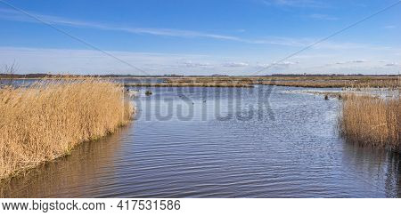 Lake At The Nature Reserve De Onlanden In Drenthe, Netherlands
