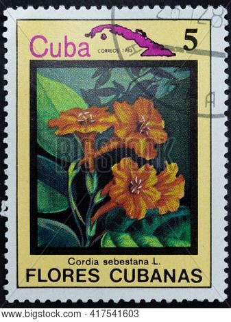 Republic Of Cuba - Circa 1983: Postage Stamp Of 'cordia Sebestena' Printed In Republic Of Cuba. Seri