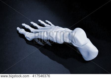 White Prototype Of The Human Foot Skeleton Printed On 3d Printer On Dark Surface
