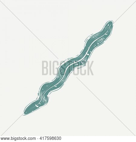 Muted green seaweed in cartoon illustration