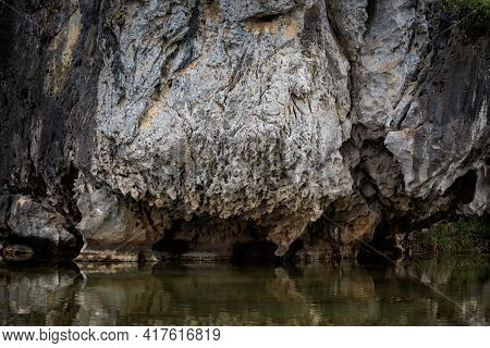 Van Long In Tam Coc Vietnam