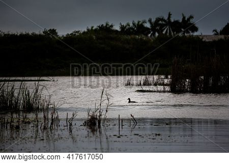 Van Long In Tam Coc Vietnam