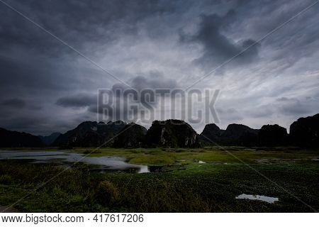 Van Long In Tam Coc Vietnam