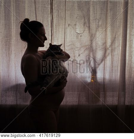 Silhouette Of A Woman During Pregnancy With A Cat In Her Hands. Concept Of Problems With A Pet Due T